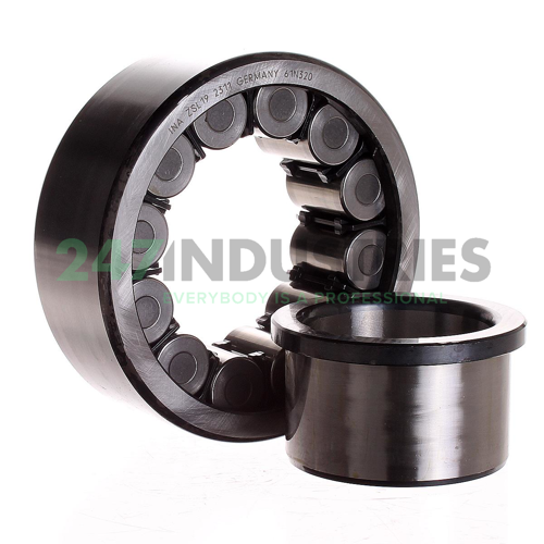 ZSL19-2311 INA Image 3