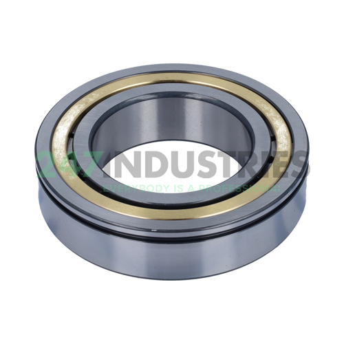 NJ2215-E-XL-N-MPAX-C3 FAG Image 3