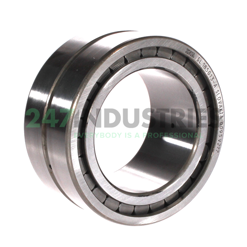 SL185013-A INA