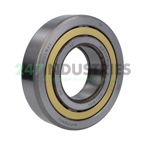 NUP313EM C3 Rollway Image 2