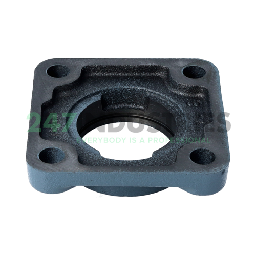 F205N,Y Asahi Image 2