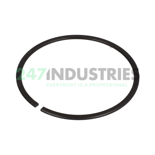 RG DIN5417-SP 100 FAG