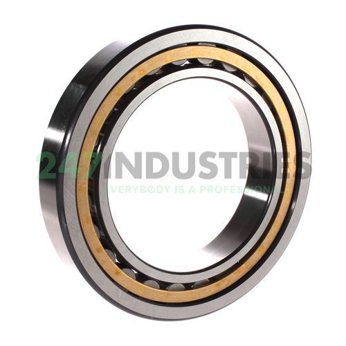 NU1020-XL-M1-C3 FAG Image 2