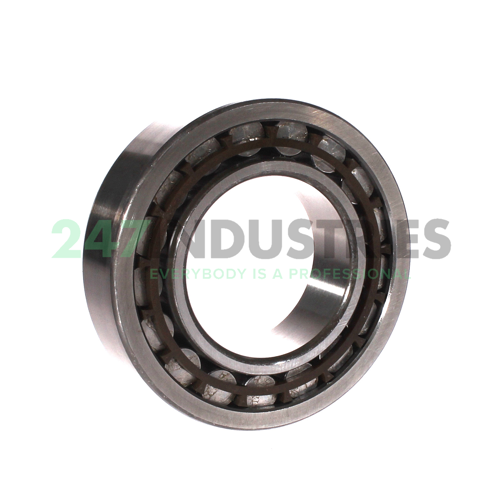 NU2213E/TGP Steyr Image 2