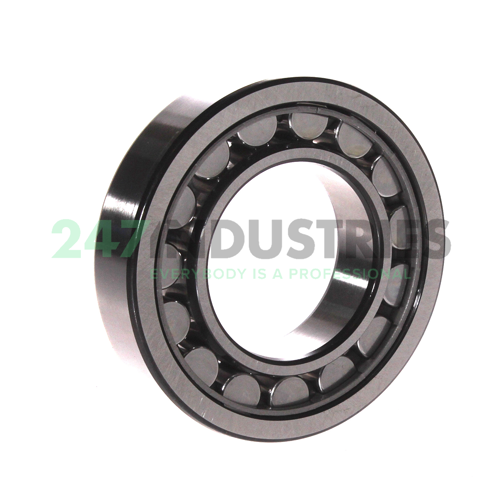 NU209ECJ SKF Image 2