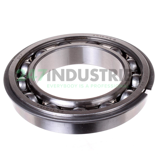 6016NR SKF