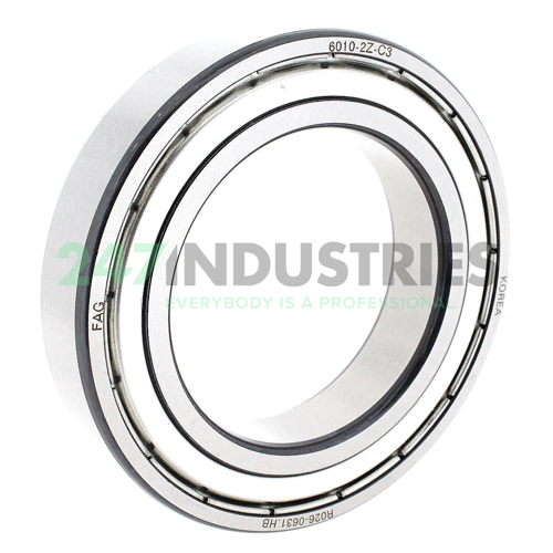 6010-2Z-C3 FAG