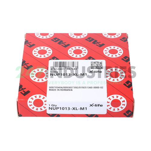 NUP1013-XL-M1 FAG Image 4
