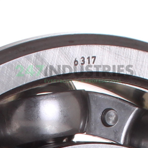 6317 SKF Image 2