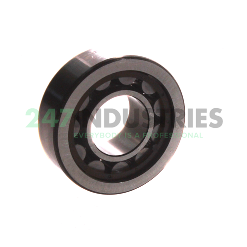 NJ202ECP/C3 SKF Image 2