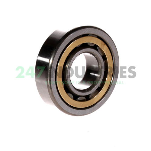 NU305EM C3E NSK Image 2