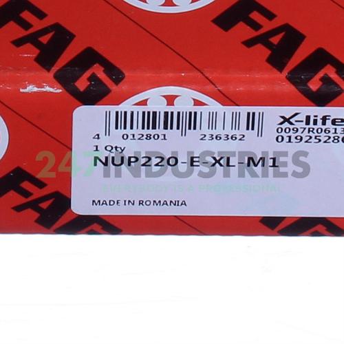 NUP220-E-XL-M1 FAG Image 6