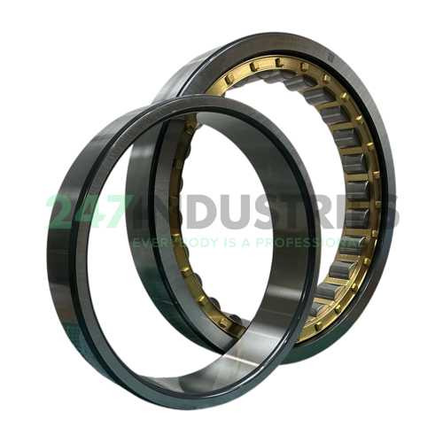 NU1048-M1-C3 FAG Image 1