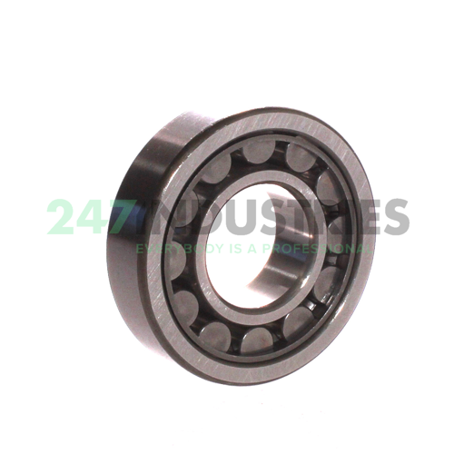 NU307EWC3 NSK Image 2