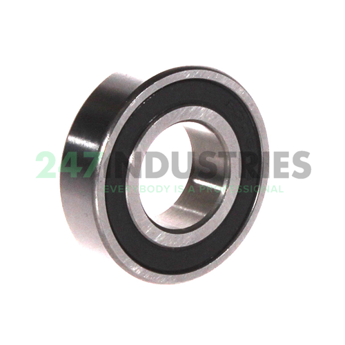 6003 2RS KIS Image 2