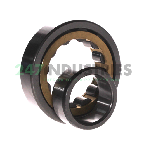 NU309EM C3 FBJ Image 3