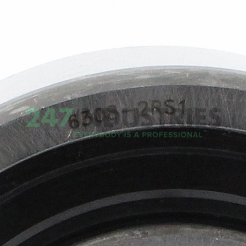 6308-2RS1 SKF Image 3
