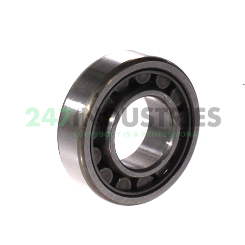 NU205EWC3 NSK Image 2