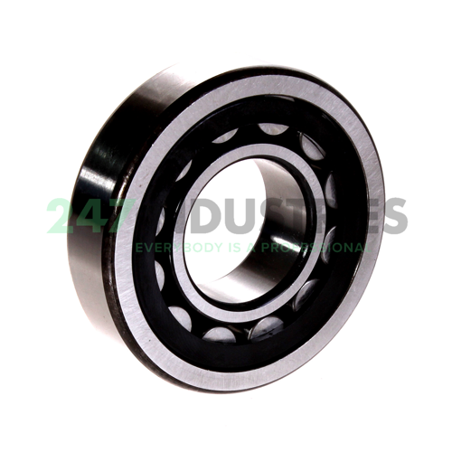 NU307E.TVP2 FAG Image 3