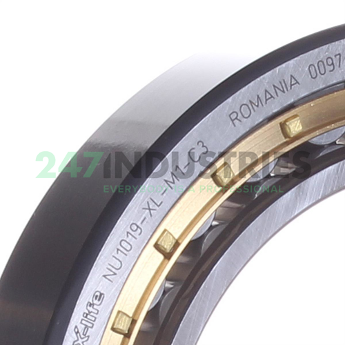 NU1019-XL-M1-C3 FAG Image 3