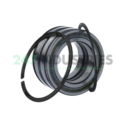 SL045010-PP-2NR-C3-L091 INA Image 3