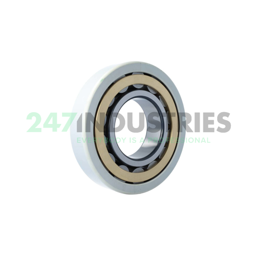 NU322-E-XL-M1-J20AA-C3 FAG Image 2