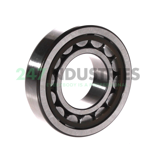 NU207ECP/C3 SKF Image 2