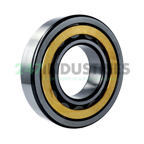 NU318-E-XL-M1-C4 FAG Image 2