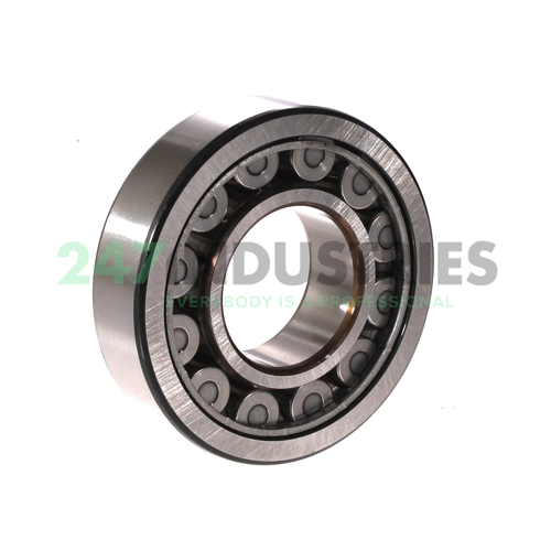 NJ308ECJ SKF Image 2