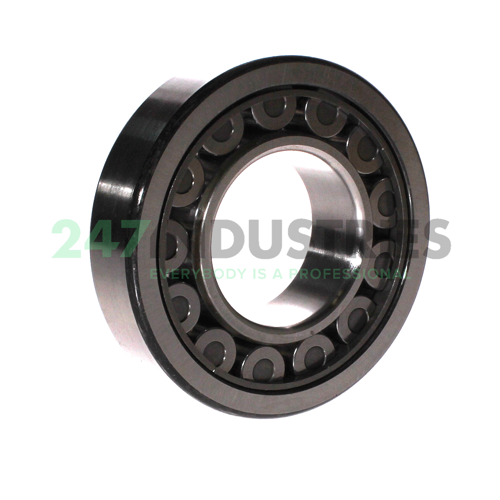 NU311EWKC3 NSK Image 2