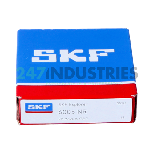 6005NR SKF Image 3