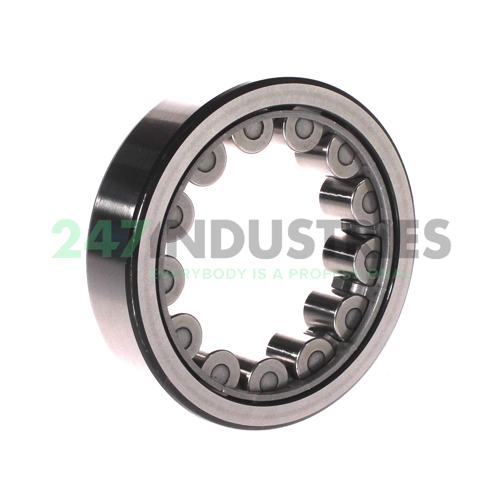 RNU310ECJ SKF Image 2