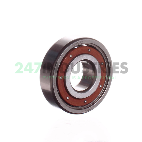 6304TB.P63 FAG