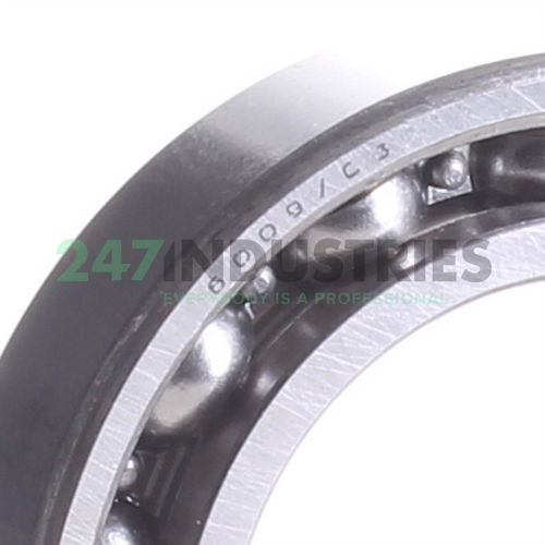 6009/C3 SKF Image 2