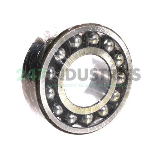 2313KTNG NSK Image 2