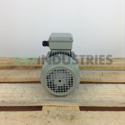 ME80M2-4B3 Gibbons Image 5