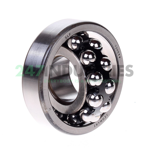 1305TV SLF Fraureuth Image 2