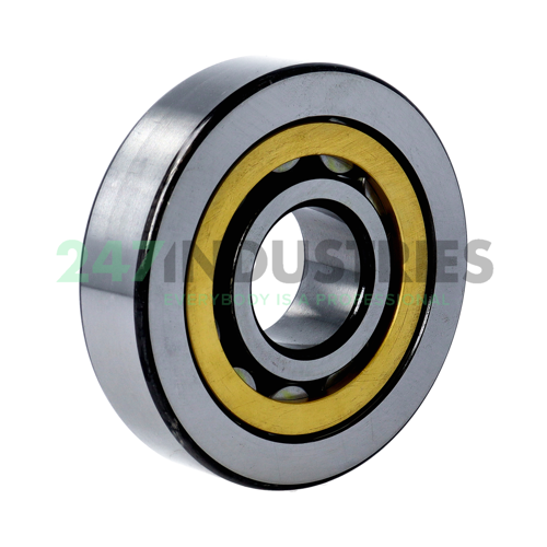 NU406-M1 FAG Image 2