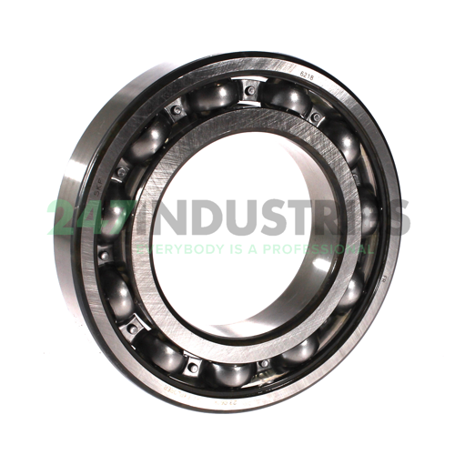 6218 SKF