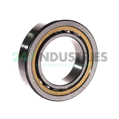 NU1008MP SKF Image 2
