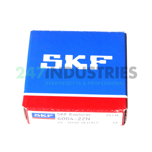 6004-2ZN SKF Image 3