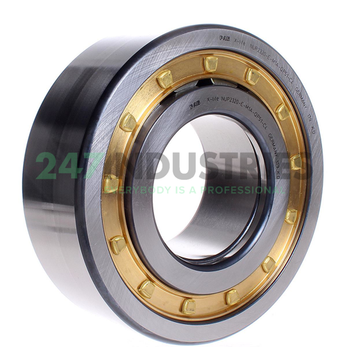 NUP2320-E-M1A-QP51-C4 FAG