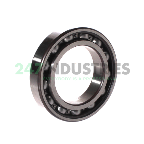 6011-RS1 SKF Image 2