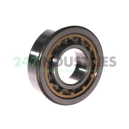 NU307G1 CM NTN Image 2