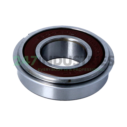 6004DDUNR NSK Image 2