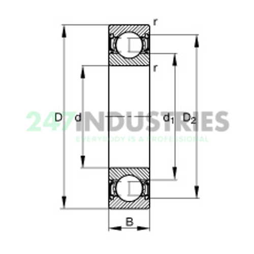 6009-2RSR FAG Image 3