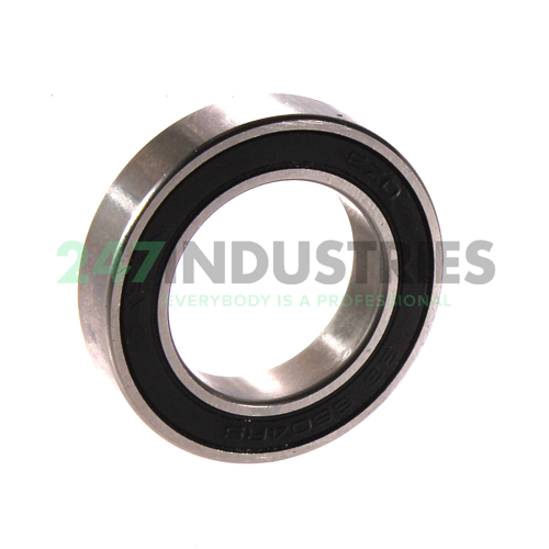 61804 2RS EZO Image 2