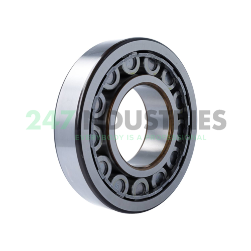 NU320ECJ SKF Image 2