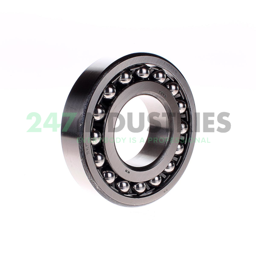 1313 SKF