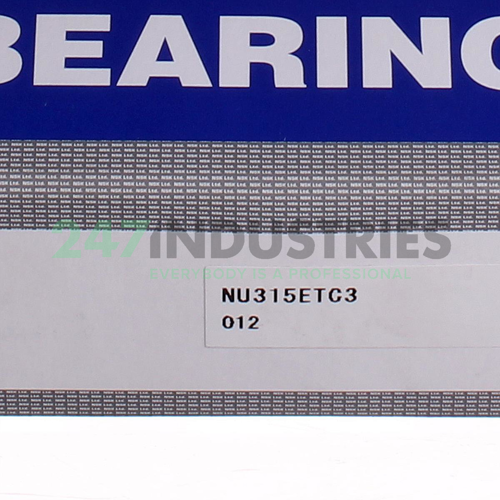 NU315ET C3 NSK Image 6